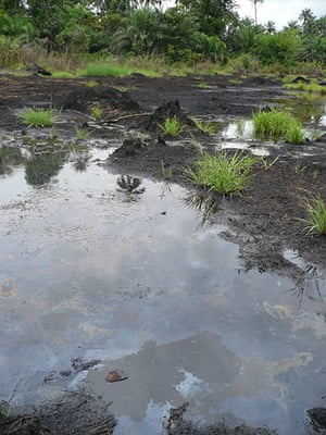 NIger Delta: The impact of an oil spill near Ikarama, Bayelsa State