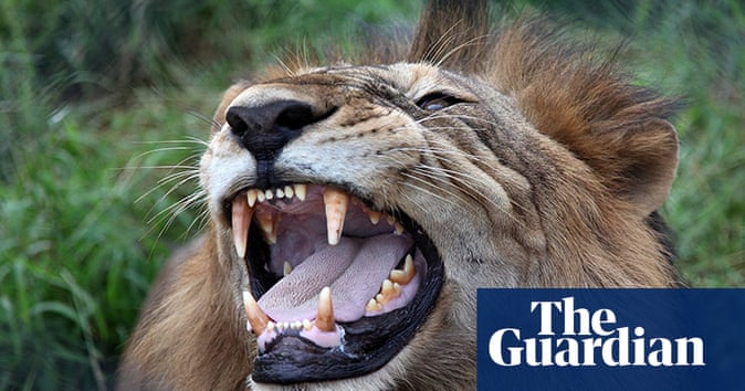 The week in wildlife - in pictures | Environment | The Guardian