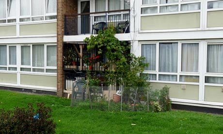 Growing food on Whiston Road, Hackney