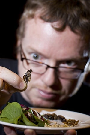 Edible insects: Edible insects 7