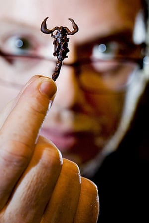 Edible insects: Edible insects 13