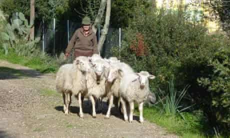 Ovidio Marras, Sardinian shepherd