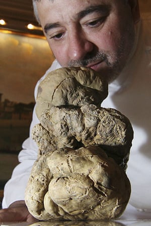 Giant vegetables: A 1.5 Kg Alba white truffle is presented by Chef Umberto Bombana 
