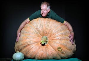 Giant vegetables: Giant pumpkin at the Royal Easter Show in Sydney, Australia