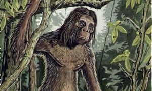 440 Hantu Gigi Jarang Gratis Terbaru 440 Hantu Gigi Jarang Gratis Terbaru