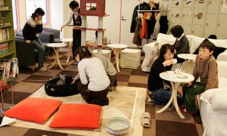 Cat caf s and doggy dining rooms Pets The Guardian Cat caf s and doggy dining rooms Pets The Guardian