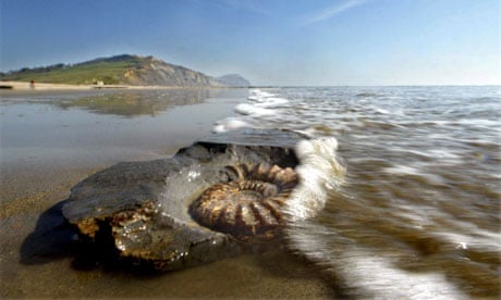 Ammonite fossil on Charmouth Beach in Dorset
