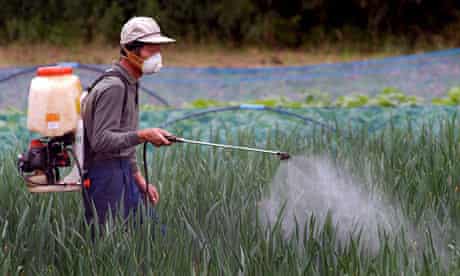 rice duck pesticides