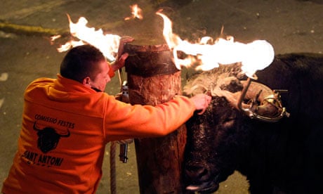 Flaming-horned bull