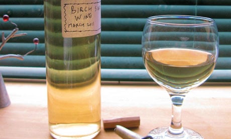 John Wright's birch sap wine