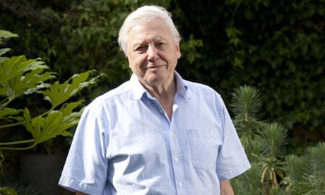There might be a God', says Sir David Attenborough | David Attenborough | The Guardian