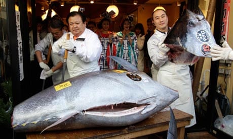 Bluefin tuna fish sells for record £473,000 at Tokyo auction