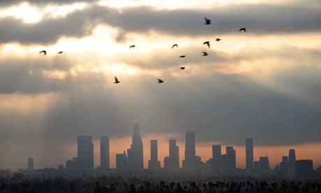 Birds fly across the sky at daybreak over the downtown Los Angeles skyline