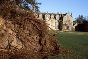1987 Storm: National Trust and Royal Kew garden Wakehurst Place near Haywards Heath