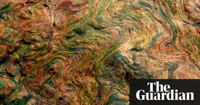 Best Nature Podcasts Uk Best Nature Podcasts Uk