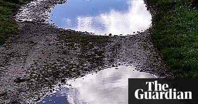 Best Nature Podcasts Uk Best Nature Podcasts Uk