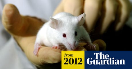 Public opposition to animal testing grows | Animal experimentation | The  Guardian