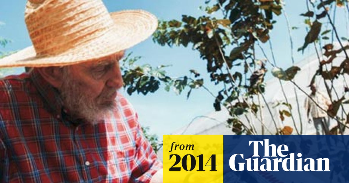 www.theguardian.com