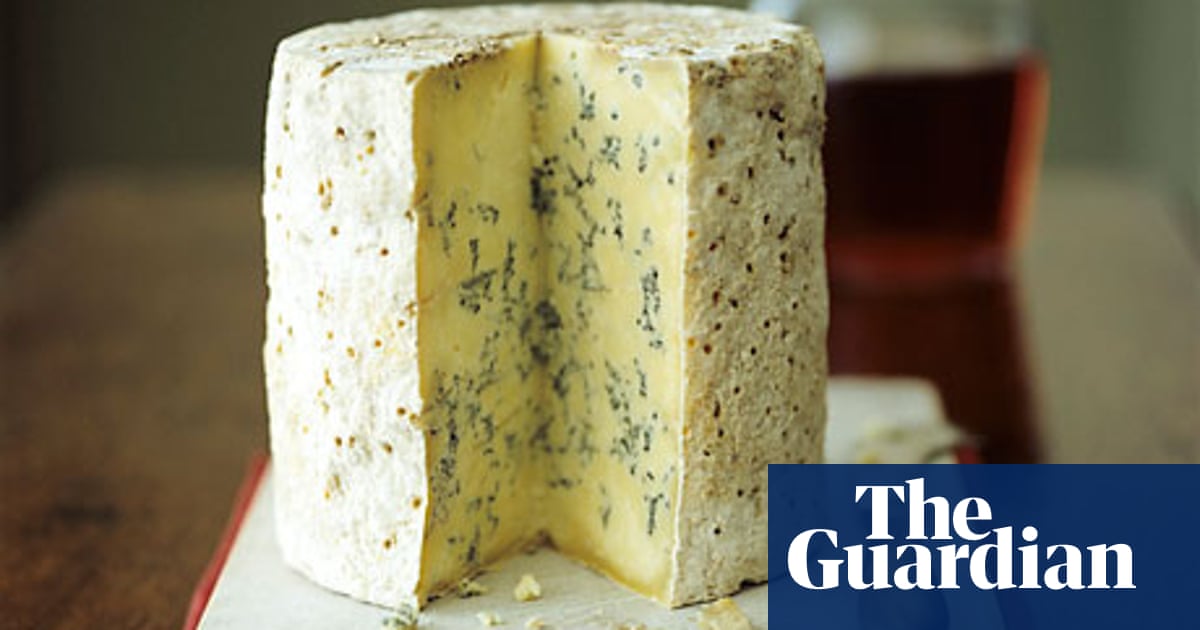 Польза сыра с плесенью для организма