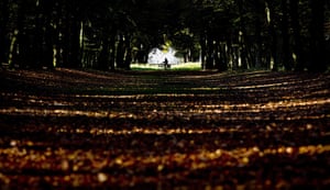 24 hours: Bergen, Netherlands: A man rides his bicycle through autumn-coloured leaves