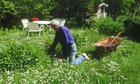 Elderly man gardening 