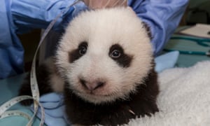 Picture Desk Live The Best News Pictures Of The Day News The