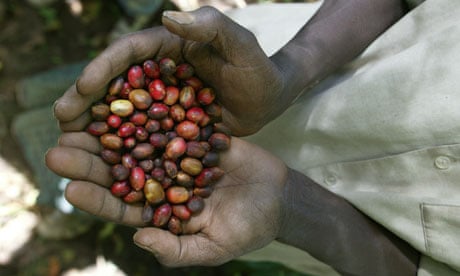 Ethiopian coffee farmer with beans