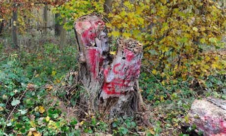 The vandalised 'totem' stump.