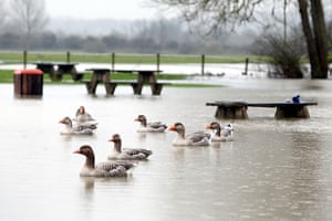 Autumn weather: The flooded Port Meadow near Wolvercote, Oxfordshire