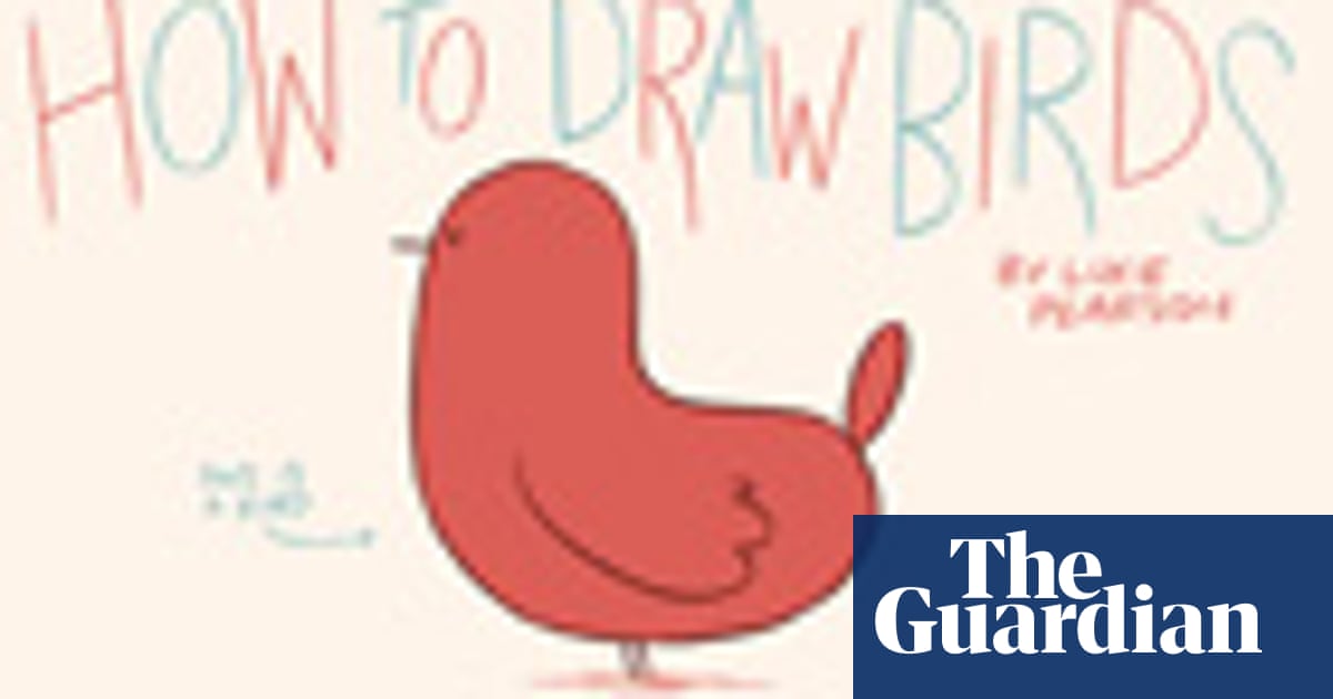 How To Draw Birds Children S Books The Guardian