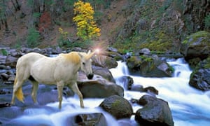 Unicorn meaning online dating