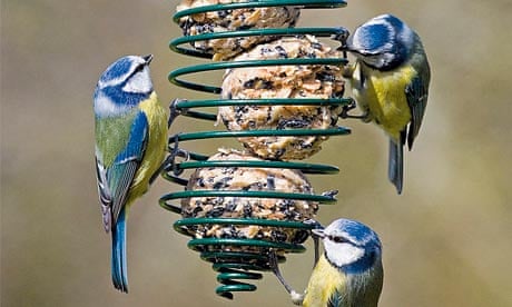 Image Result For Max Family Garden Image Result For Max Family Garden