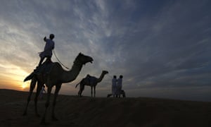 camel festival