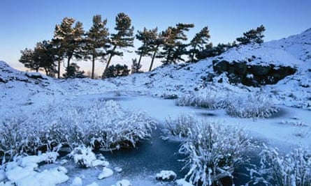 Weatherwatch Statistically February Is The Cruelest Month Uk Weather The Guardian