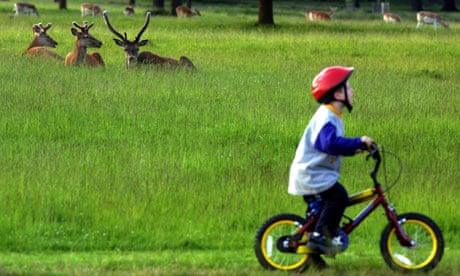 Child cyclist in Richmond Park