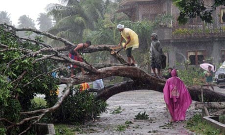 Damage from typhoon Bopha in the Philippines