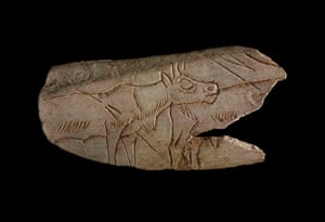 Ice age artifacts: A carving of two reindeer