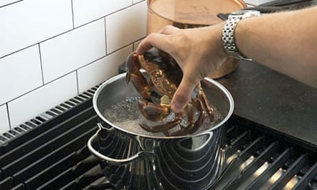 Crab dropped into a pan of boiling water