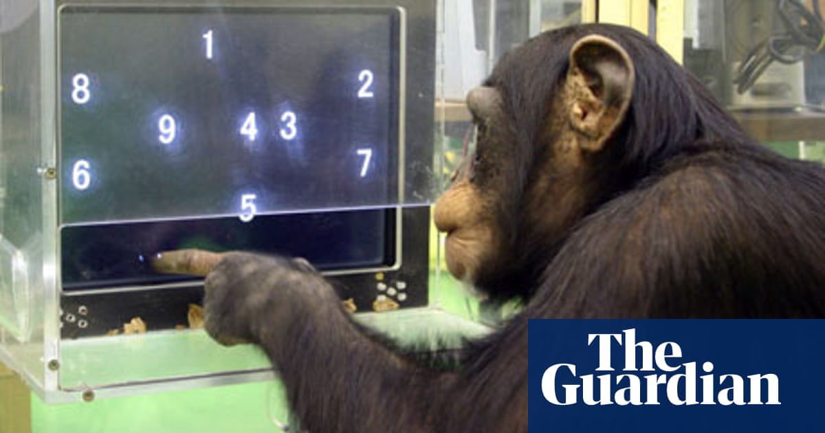 It's a good week for … Clever creatures | Television | The Guardian