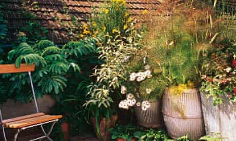 Balcony Gardening And Rooftop Garden Ideas Gardens The Guardian - Patio Pot Plant Ideas Uk