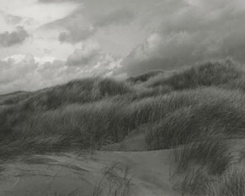 Robert Adams, Nehalem Bay State Park, from This Day, 2009