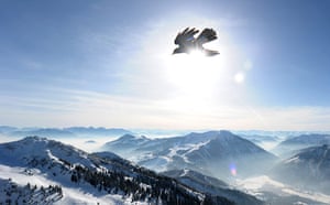 Week in Wildlife: A bird flies in front of the Alp mountains