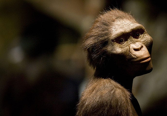 Famous First Humans First Humans On Earth
