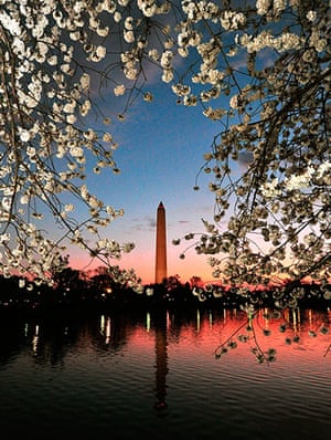 Spring in Washington DC