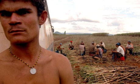 Brazilian labourers on a sugar cane farm
