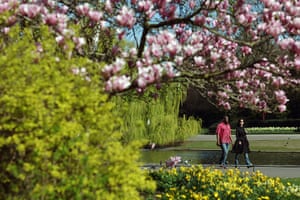 Warm Weather: A couple stroll through Regents Park
