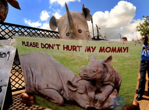 week in wildlife: protest against Rhino poaching outside the Chinese embassy in Pretoria