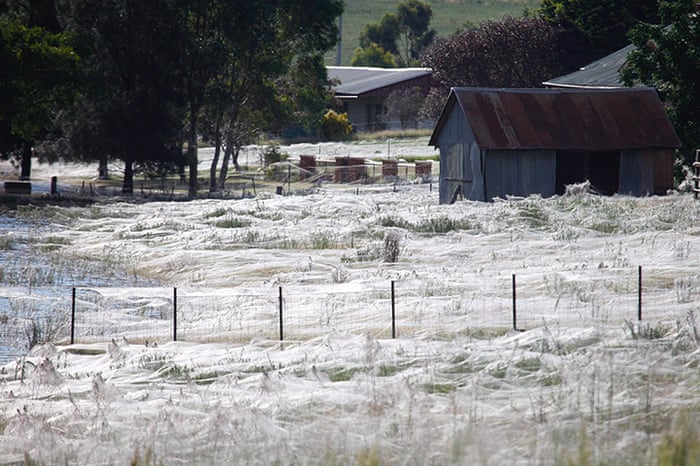 24 Hours In Pictures News The Guardian