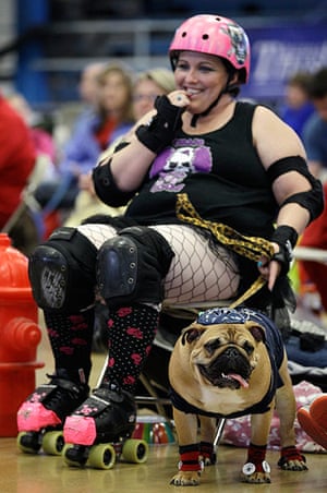 Drake Relays Beautiful Bulldog Contest In Pictures