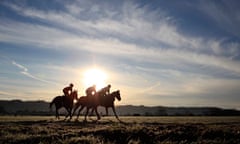 Horses are taken for an early morning ride on the gallops at the Cheltenham racecourse